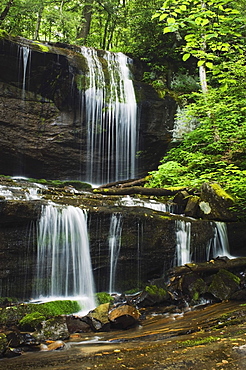 North Carolina, United States Of America; Lush Summer Foliage At Grassy Creek Falls