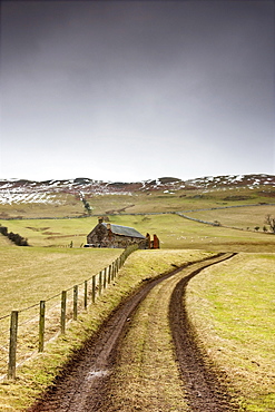 Scottish Borders, Scotland; Tire Tracks Forming A Road Along A Fence With A House Among The Fields