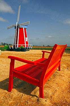 Woodburn, Oregon, United States Of America; A Windmill And Bench At The Tulip Fields