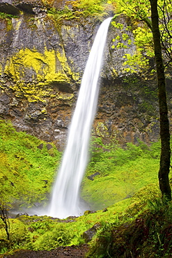 Elowah Falls In Columbia River Gorge National Scenic Area; Oregon, USA