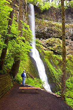 A Hiker At Winter Falls In Silver Falls State Park; Oregon, USA