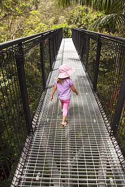 A Young Girl Walking On The Rainforest Skywalk In Tamborine National Park; Gold Coast Hinterland, Queensland, Australia