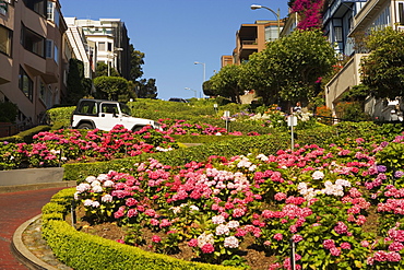 Low angle view of Lombard Street, San Francisco, California, USA