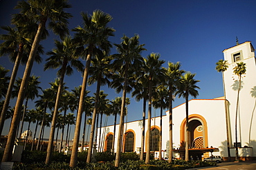 Palm trees outside a station, Union Station, Los Angeles, California, USA