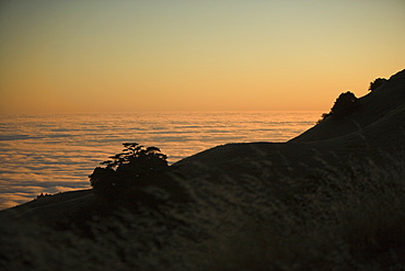 High angle view of clouds around a hill, Mt. Tamalpais State Park, California, USA