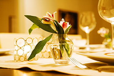 Close-up of a flower vase with candlestick holders on a dining table