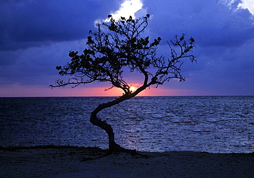 Sunset over the sea, Blackbeard's Caye, Belize