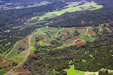 Aerial view of a landscape, Hilo, Big Island, Hawaii Islands, USA