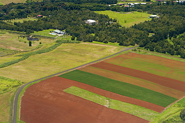 High angle view of a landscape, Hilo, Big Island, Hawaii Islands, USA