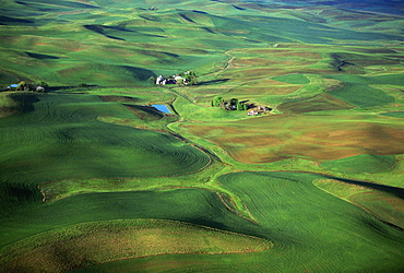 Aerial, contour plowing