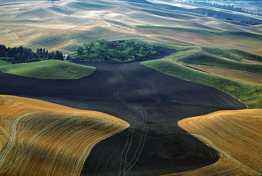 Aerial view of contour plowed fields, Washington state