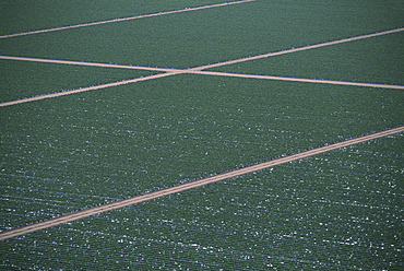 Aerial of farm fields