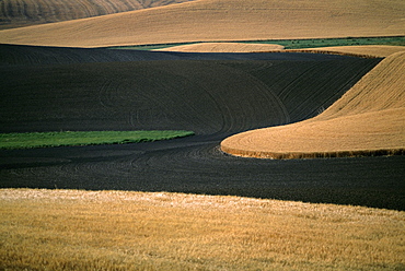 Contour plowed fields, Washington state