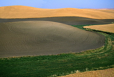 Aerial view of contour plowed fields, Washington state