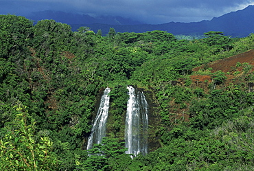 Opaeka'a Falls, Kauai, Hawaii