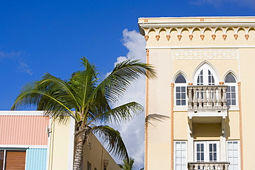 Low angle view of a palm tree in front of buildings, South Beach, Miami Beach, Florida, USA