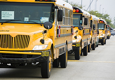 Bus parked in a row