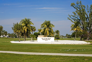 Palm trees in a park, Lake Worth, Palm Beach County, Florida, USA