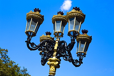 Low angle view of a lamppost, Orlando, Florida, USA