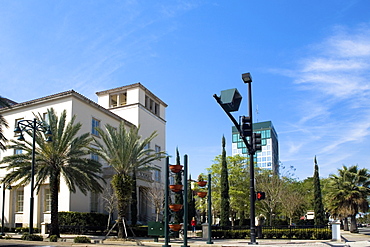 Low angle view of palm trees in front of a building, Orlando, Florida, USA