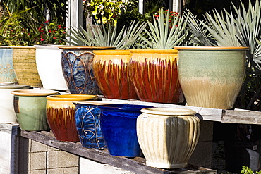 Close-up of vases in a row, Florida Keys, Florida, USA