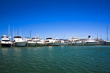 Boats docked at a harbor, Garrison Bight Marina, Key West, Florida, USA