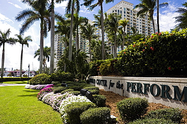 Flowers and trees in a park, Broward Center For The Performing Arts, Fort Lauderdale, Florida, USA