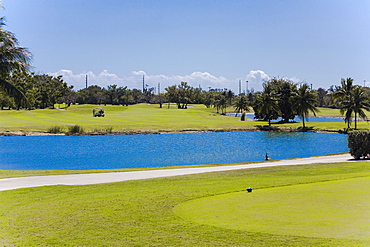 Lake in a golf course, Key West, Florida, USA