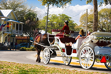 Horse drawn on the road, St. Augustine, Florida, USA