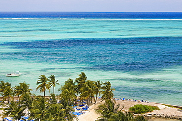 Palm tree on the beach, Cable Beach, Nassau, Bahamas