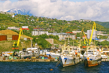 Boats docked at a harbor, Petropavlovsk Kamchatsky, Kamchatka, Russia