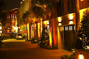 Cars parked in a row at night, Charleston, South Carolina, USA