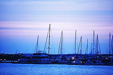 Sailboats docked at a harbor, Charleston, South Carolina, USA