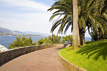 Palm trees along a walkway, Monte Carlo, Monaco