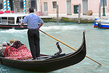 Man standing on a gondola in a canal, Grand Canal, Venice, Italy