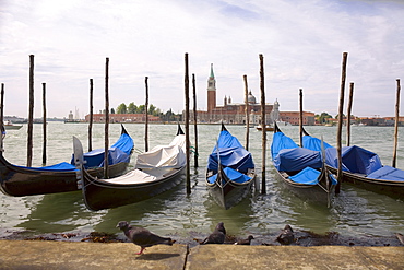 Gondolas docked in a canal, Grand Canal, Venice, Italy