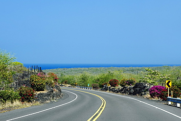 Road passing through a landscape, Honaunau, Kona Coast, Big Island, Hawaii Islands, USA