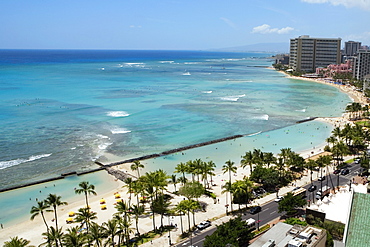 Aerial view of palm trees on the beach, Waikiki Beach, Honolulu, Oahu, Hawaii Islands, USA