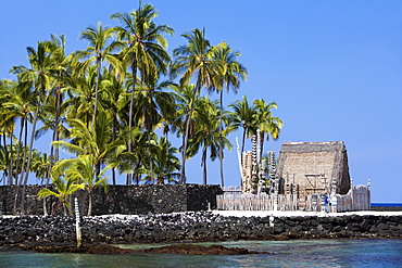 Palm trees in front of a building, Puuhonua O Honaunau National Historical Park, Kona Coast, Big Island, Hawaii Islands, USA