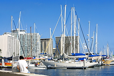 Sailboats docked at a harbor, Honolulu, Oahu, Hawaii Islands, USA