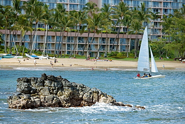 Sailboat in the sea, Nawiliwili Beach Park, Kauai, Hawaii Islands, USA