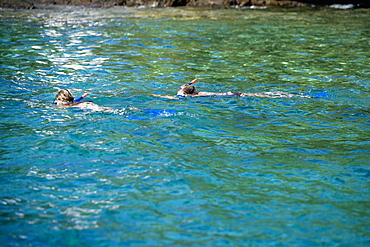 Two people snorkeling in the sea, Captain Cook's Monument, Kealakekua Bay, Kona Coast, Big Island, Hawaii islands, USA