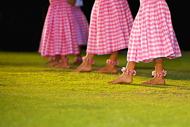 Low section view of four women hula dancing in a lawn