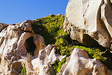 Grass over a rock formation, Masada, Israel