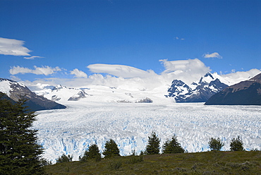 High angle view of a glacier, Moreno Glacier, Argentine Glaciers National Park, Lake Argentino, El Calafate, Patagonia, Argentina