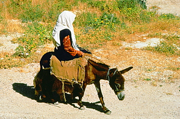 Side profile of a girl riding a donkey, Israel