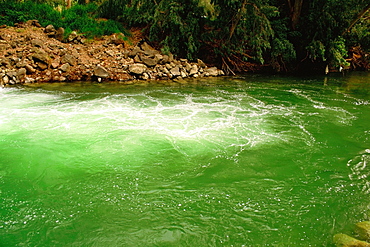 High angle view of green water in a river, Jordan River, Galilee, Israel