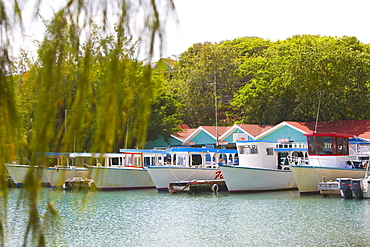Boats moored at a dock, Coral Cay, Dixon Cove, Roatan, Bay Islands, Honduras