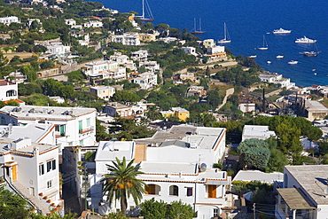 High angle view of buildings in a town, Capri, Campania, Italy