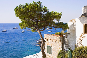 Boats in the sea, Capri, Campania, Italy